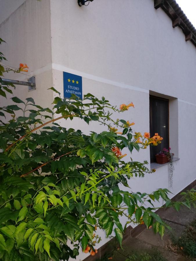 Studio Apartman Kotro Beli Manastir Exteriör bild